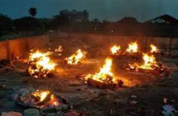 हे महाकाल: Corona का ऐसा कहर, उज्जैन में कुत्ते खा रहे लाशें, जमीन पर जल रहीं चिताएं