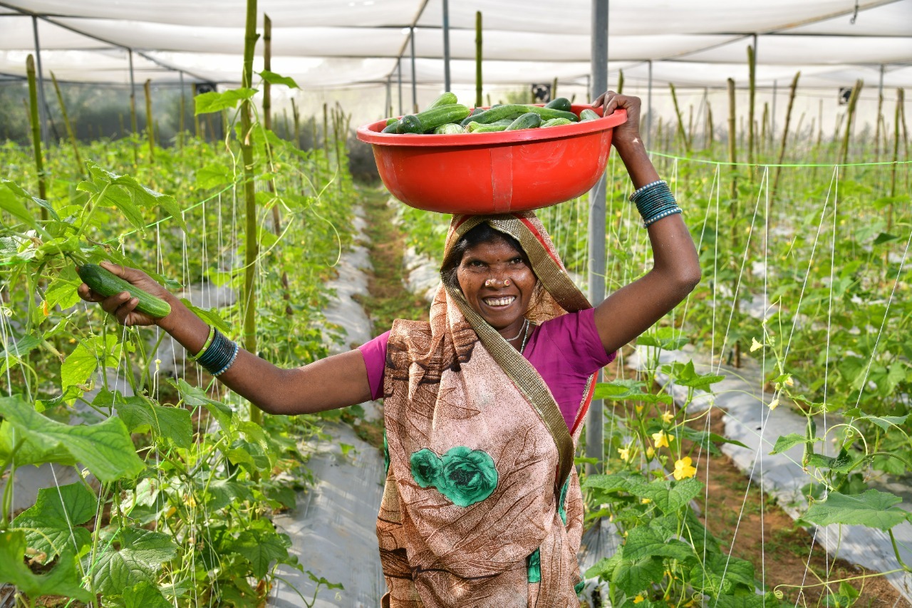 बालको ने राष्ट्रीय किसान दिवस के अवसर पर कृषकों को किया सम्मानित