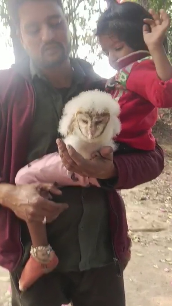 छत्तीसगढ़:- यहां दिखा विशिष्ट चेहरे वाला बार्न उल्लू, देखने लगी ग्रामीणों की भीड़, देखें वीडियो