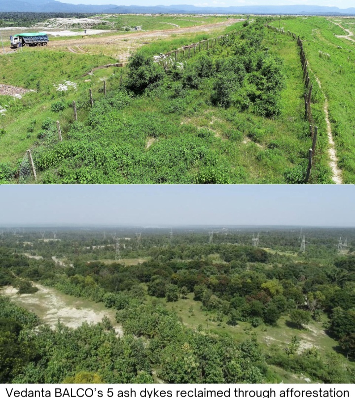 अंतरराष्‍ट्रीय वन दिवसः वेदांता एल्यूमिनियम अपने प्रचालन क्षेत्रों में करेगा बड़े पैमाने पर वृक्षारोपण