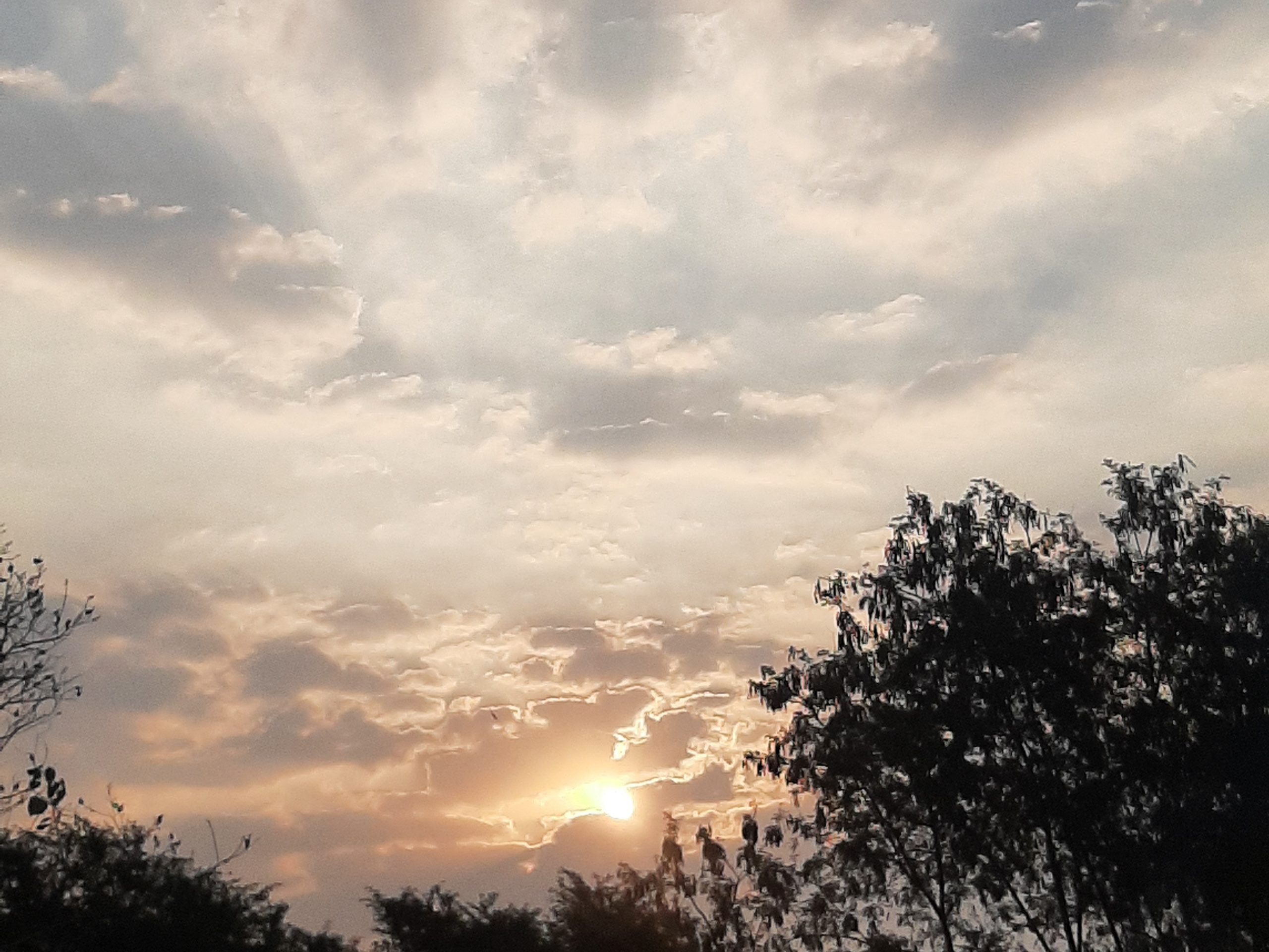 छत्तीसगढ़:- आज कई जिलों में बारिश के आसार,कल से कोरबा समेत कई जिलों में लू चलने का अलर्ट जारी