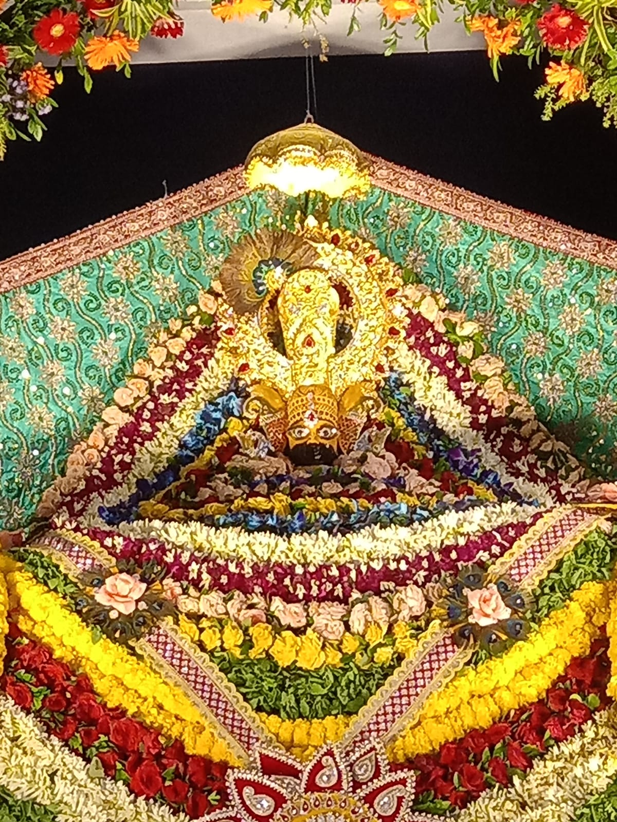 कोरबा की धरा में ऐसा सजा बाबा श्याम का दरबार,जिसने देखा हो गया मंत्र मुग्ध,जय श्री श्याम के जय घोष से गूंज उठा बुंदेली ग्राम