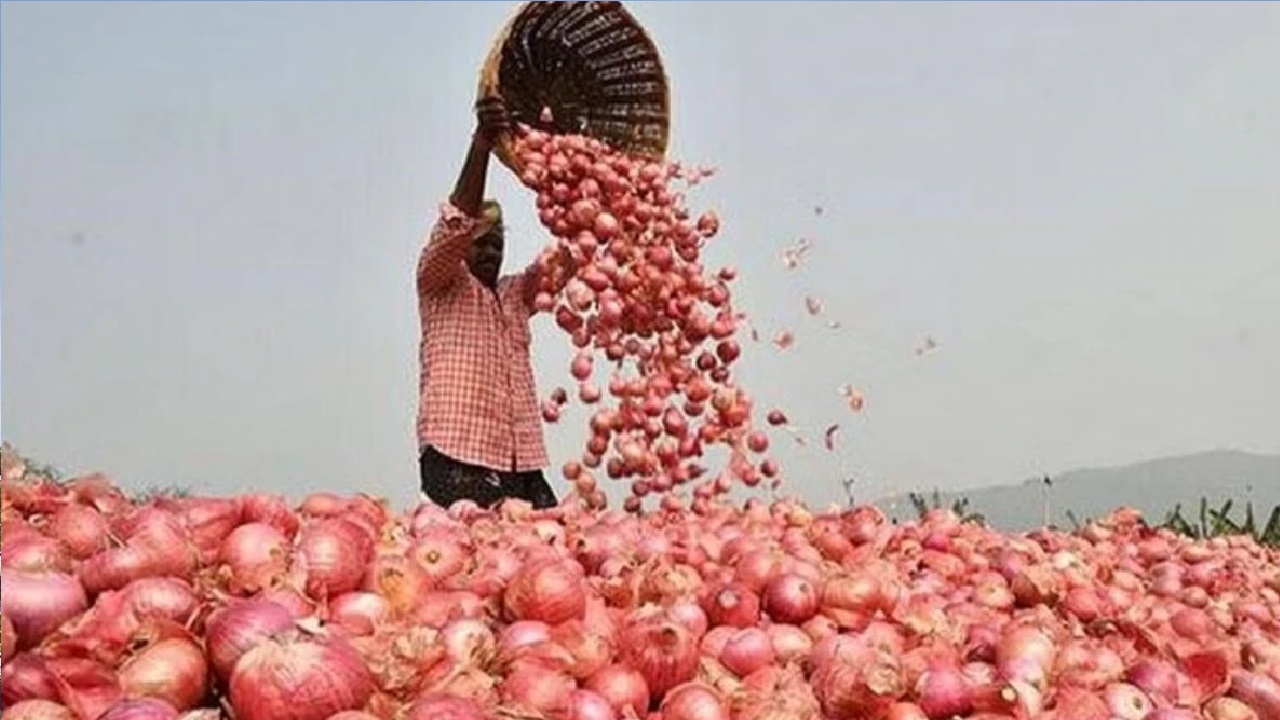 सरकार का चुनावी गणित आम आदमी को पड़ेगा भारी,100 रुपए हो सकता है प्याज! दाम बढ़ने की ये है वजह