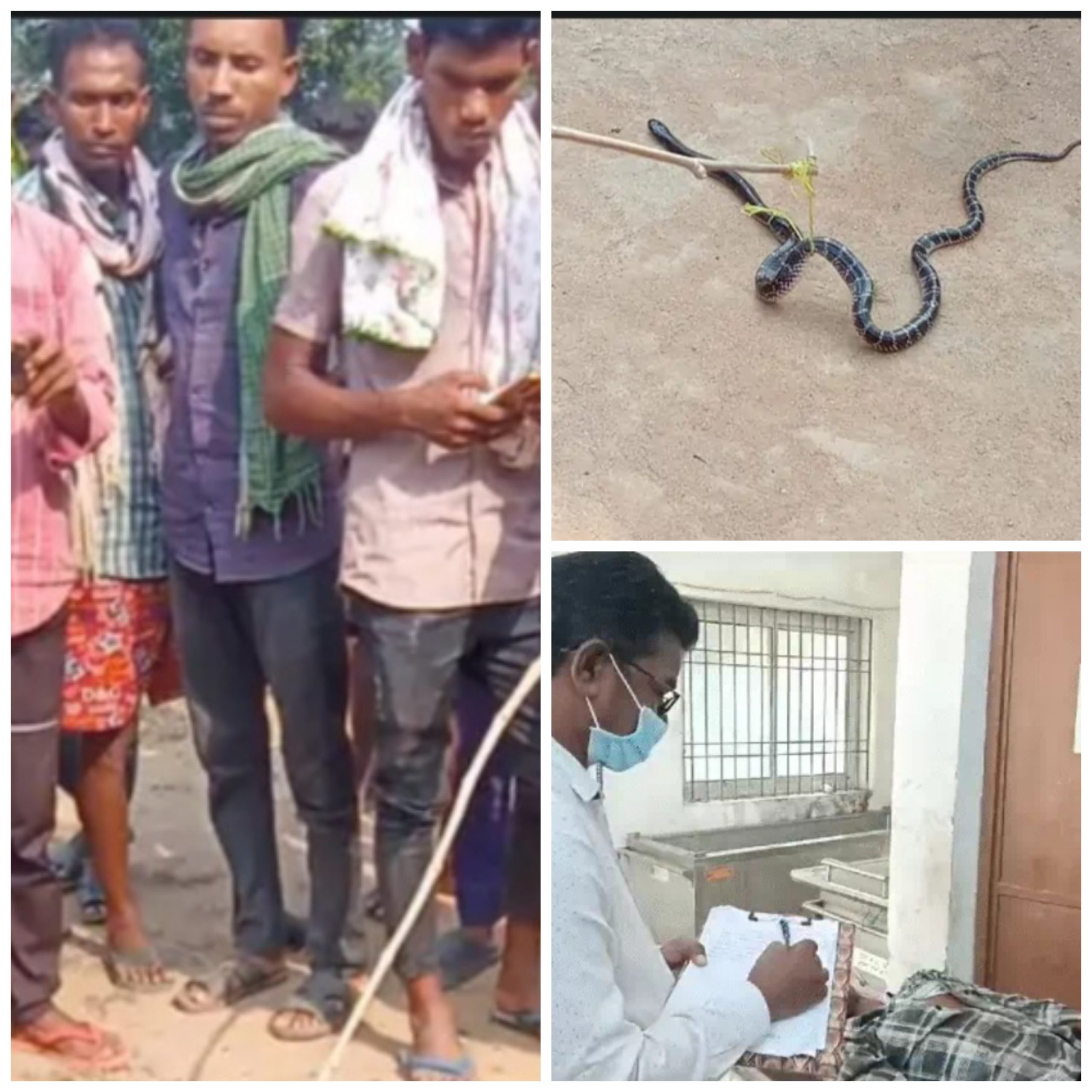छत्तीसगढ़:- चिता के साथ सांप को जिंदा जलाया, रस्सी से बांधकर मुक्तिधाम तक ले गए ग्रामीण, सर्पदंश से हुई थी युवक की मौत