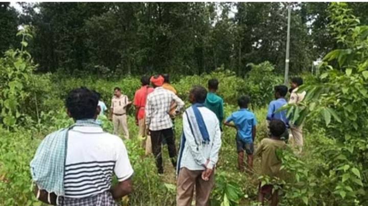 छत्तीसगढ़:- जंगली सुअर का शिकार करने के लिए बिछाया था जाल, करंट लगने से शिकारी की ही हुई मौत, साथी छोड़कर हुए फरार