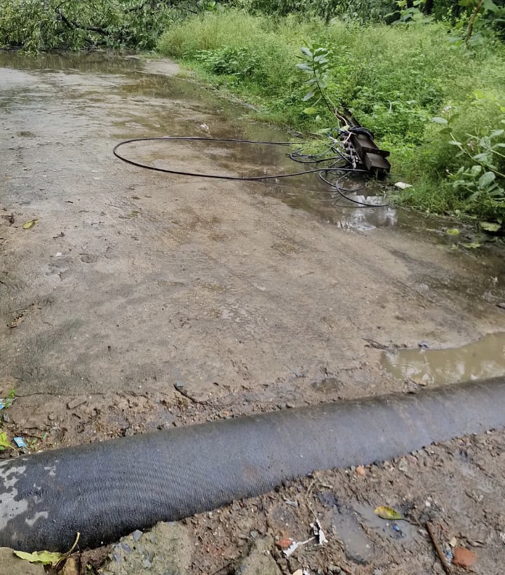 कोरबा में तेज बारिश से बिजली का खंभा गिरा, करंट लगने से दो गायों की मौत, 24 घंटे बाद भी बिजली विभाग नदारद