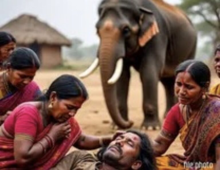 छत्तीसगढ़: हाथी के हमले से किसान की मौत, मुआवजे के लिए सामने आईं मृतक की 6 पत्नियां, असली हकदार कौन ? वन विभाग भी हैरान