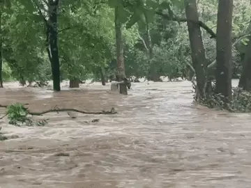 छत्तीसगढ़: आज 13 जिलों में यलो-अलर्ट, चलेगी आंधी, गिरेगी बिजली; बस्तर संभाग में पिछले तीन दिनों से हो रही मूसलाधार बारिश