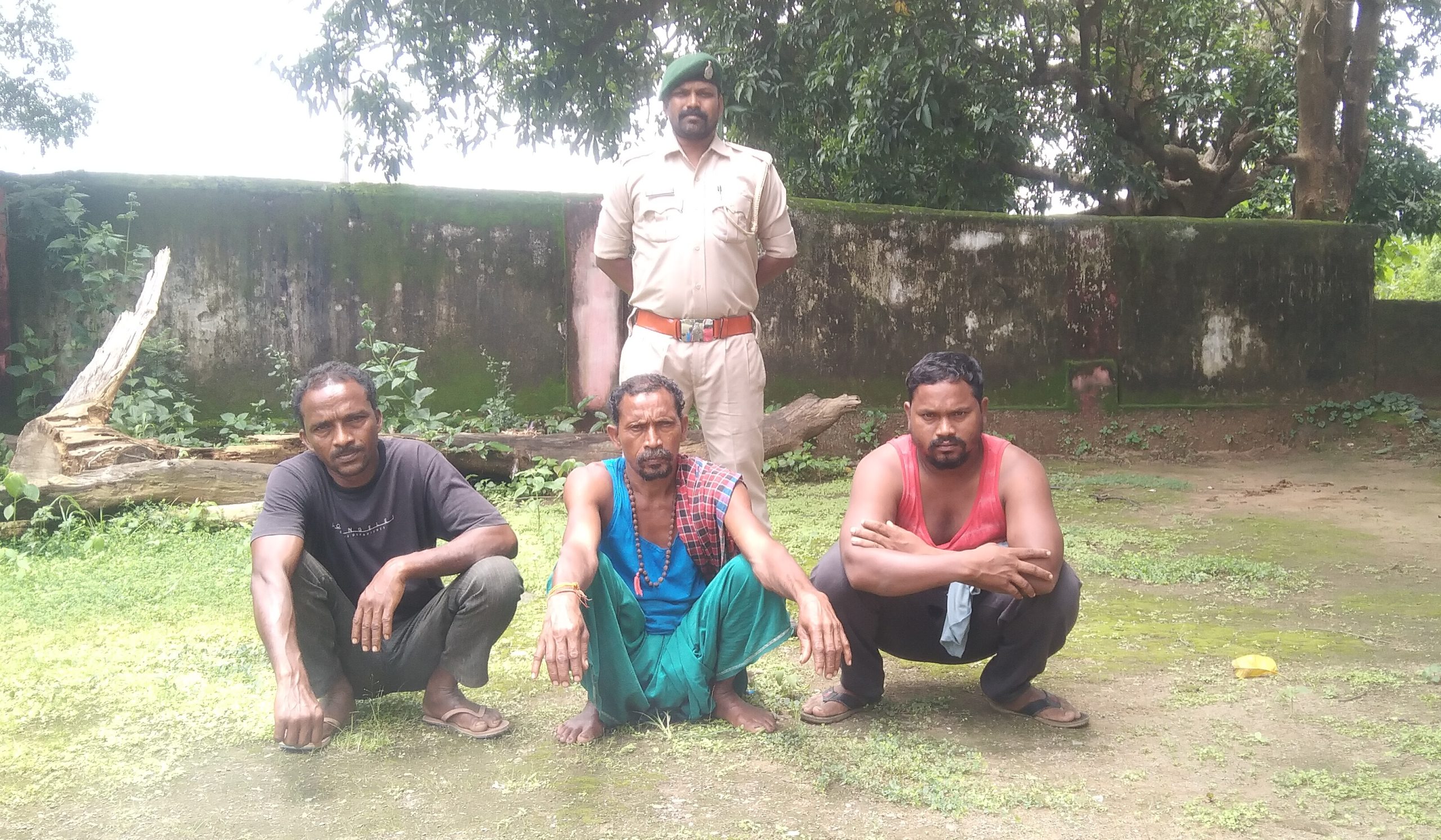 कोरबा में करंट की चपेट में आने हाथी की मौत:फसलों को जानवरों से बचाने के लिए बिछाया था बिजली का तार, 3 किसान गिरफ्तार