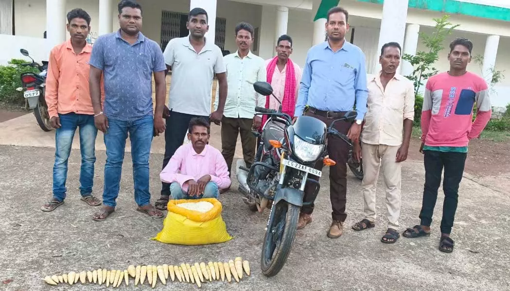 बांस करील और पिका का अवैध परिवहन, युवक गिरफ्तार