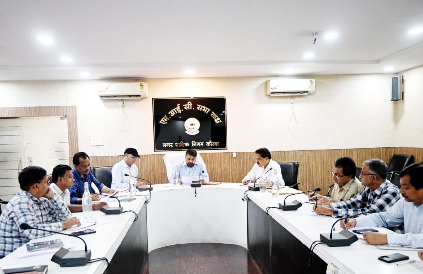 रिकांडो रोड में ग्रीनबेल्ट व दर्री में वेंडिंग जोन की कार्ययोजना 