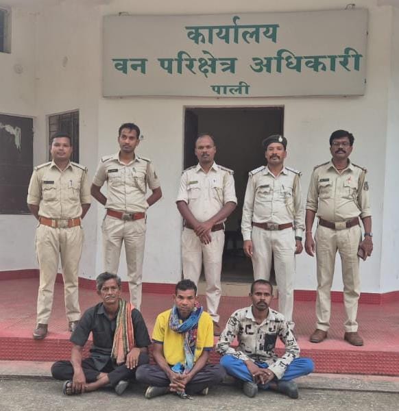 चीतल और जंगली सुअर का शिकार करने वाले तीन शिकारी गिरफ्तार…वन विभाग की कार्रवाई, आरोपी को भेजा जेल