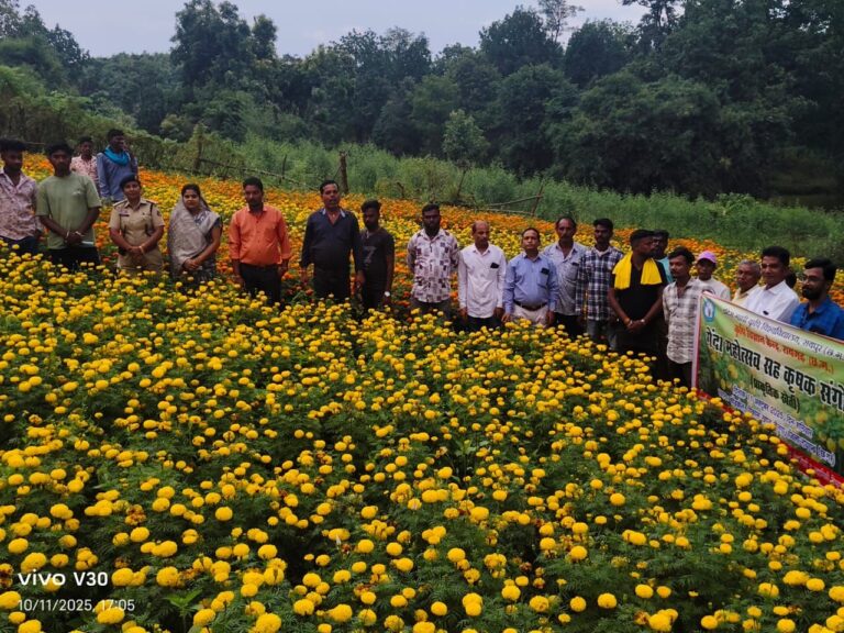 जांजगीर-चांपा पुलिस की पहल से सबरिया समाज हुआ जागरूक, गेंदा महोत्सव में ली गेंदा खेती की जानकारी …