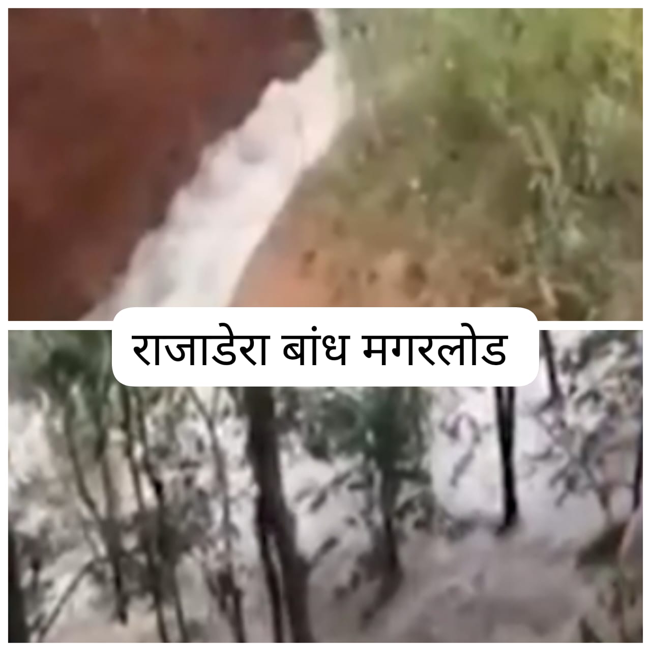 मगरलोड ब्लॉक का राजाडेरा बांध टूटा..भ्रष्टाचार का काला खेल उजागर, किसानों की मेहनत माटी में