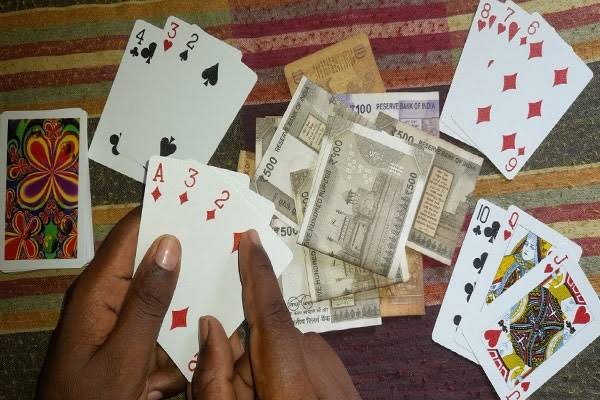 KORBA के ये जंगल जुआ से गुलजार हो रहे