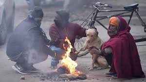 ठंडी हवाओं से बढ़ेगी ठिठुरन, अगले तीन दिनों में पारा 3 डिग्री तक गिरने की संभावना