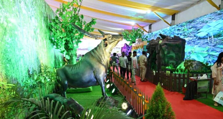 छत्तीसगढ़ राज्योत्सव 2025 : वन विभाग का स्टाल बना आकर्षण का केंद्र, ग्रीन गुफा और मियावाकी फॉरेस्ट जैसे नवाचारों की झलक