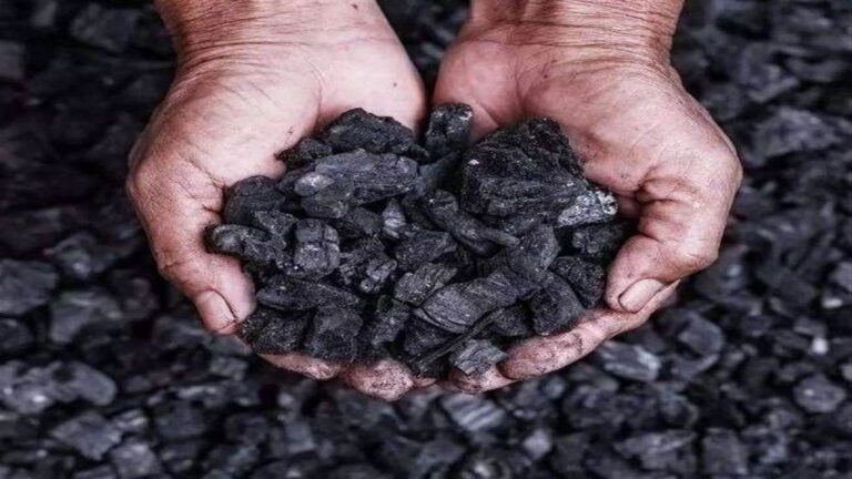 अडाणी पावर को भेजे जा रहे कोयले में बड़ा घोटाला, 14 आरोपी गिरफ्तार, संगठित नेटवर्क का हुआ खुलासा