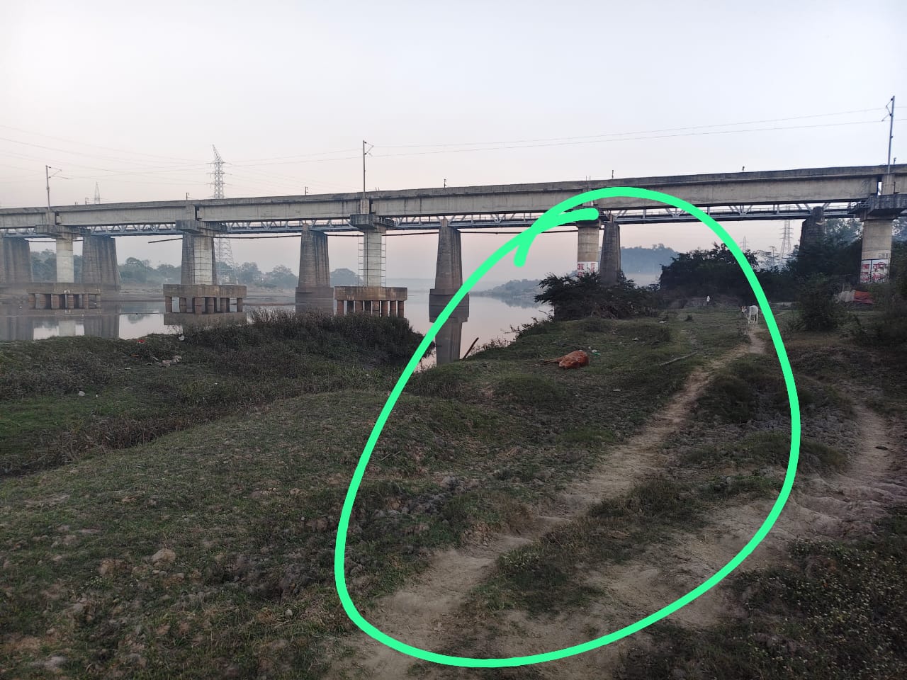 सर्वमंगला पुल के नीचे दलदल में फँसी गौ माता को बाल गोपाल गौ सेवा समिति ने बचाया