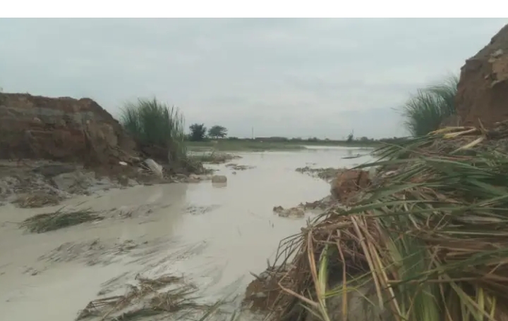 ढेंगुरनाला में बह रहा राखड़ मिश्रित पानी