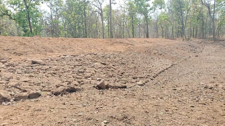 KORBA:जंगल में जानवरों को प्यासा मारने की साजिश, हाथी रिजर्व क्षेत्र में भ्रष्टाचार की कहानी लिख रहे रेंजर.
