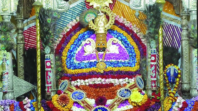 श्रद्धालुओं का कारवां लगातार बढ़ रहा कोरबा के श्याम बाबा मंदिर में, वर्षों पहले हुई घटना ने लोगों को किया प्रभावित