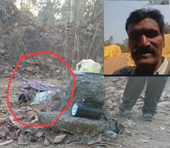 BREAKING KORBA: जंगली हाथी का हमला, मंडी प्रभारी की कुचलकर मौत