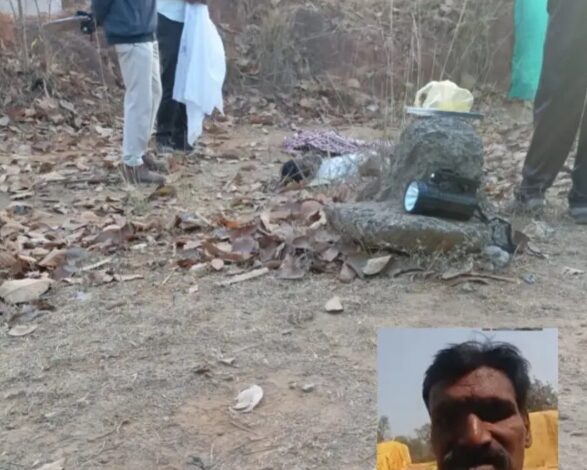 कोरबा: कुदमुरा धान उपार्जन केंद्र में हाथी का हमला, प्रभारी की मौत